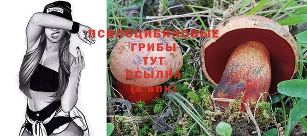 мет Алексин