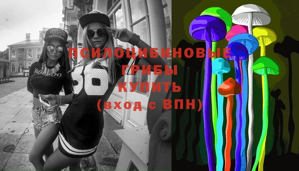тгк Алзамай