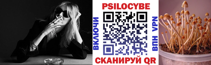 Псилоцибиновые грибы Psilocybine cubensis  блэк спрут рабочий сайт  Заинск 